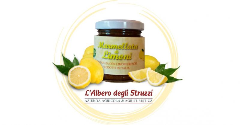 Offerta Marmellata di Limone 100 gr vendita shop online Italia